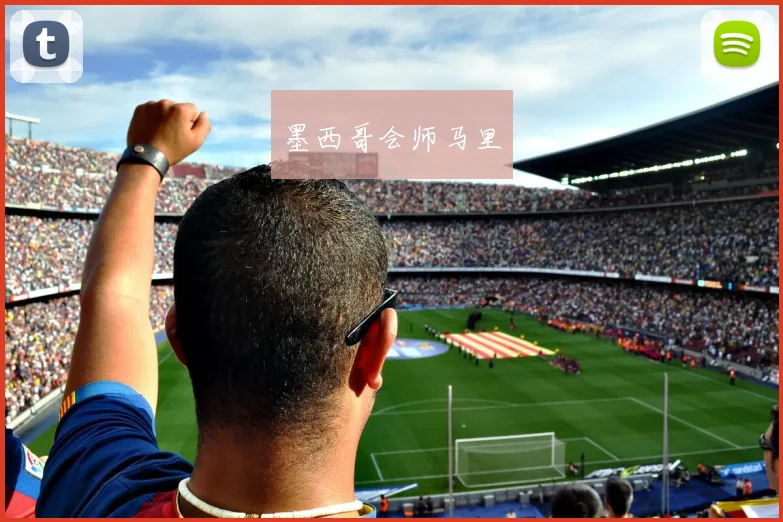 墨西哥会师马里
