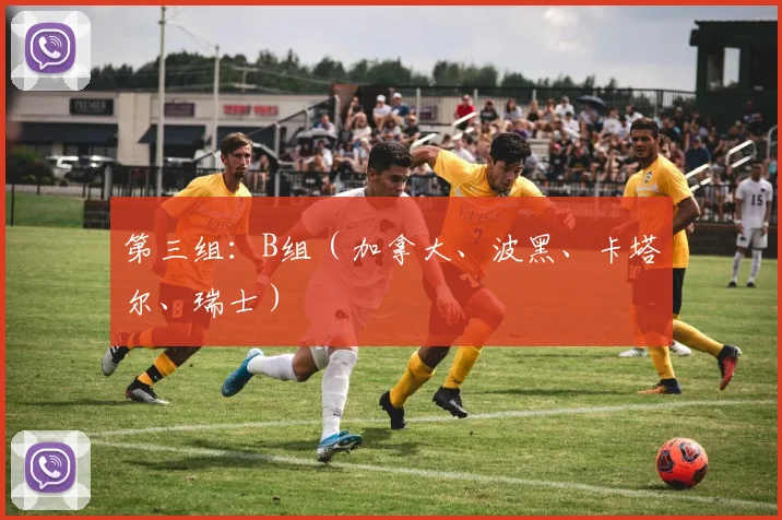 第三组：B组（加拿大、波黑、卡塔尔、瑞士）