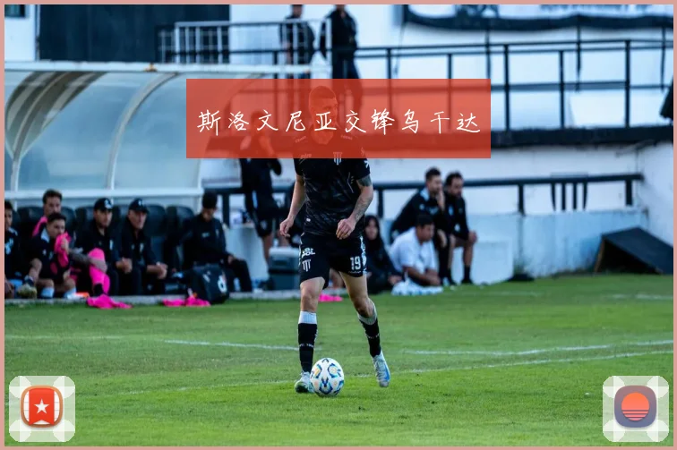 斯洛文尼亚交锋乌干达