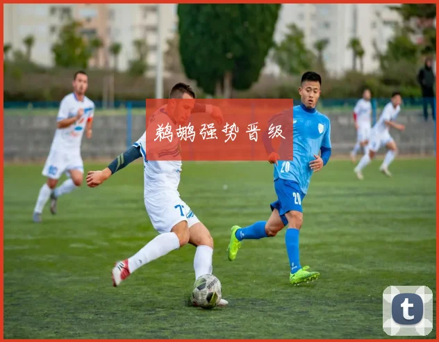 鹈鹕强势晋级