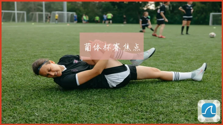 葡体杯赛焦点