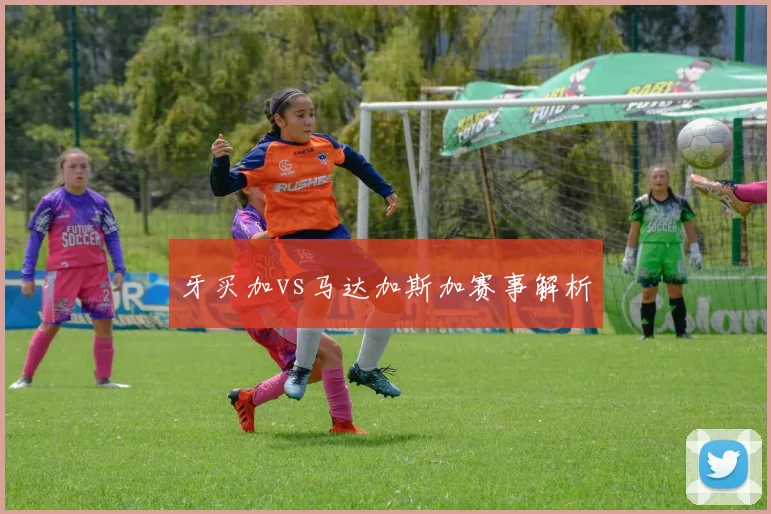 牙买加vs马达加斯加赛事解析