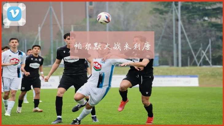 帕尔默大战米利唐