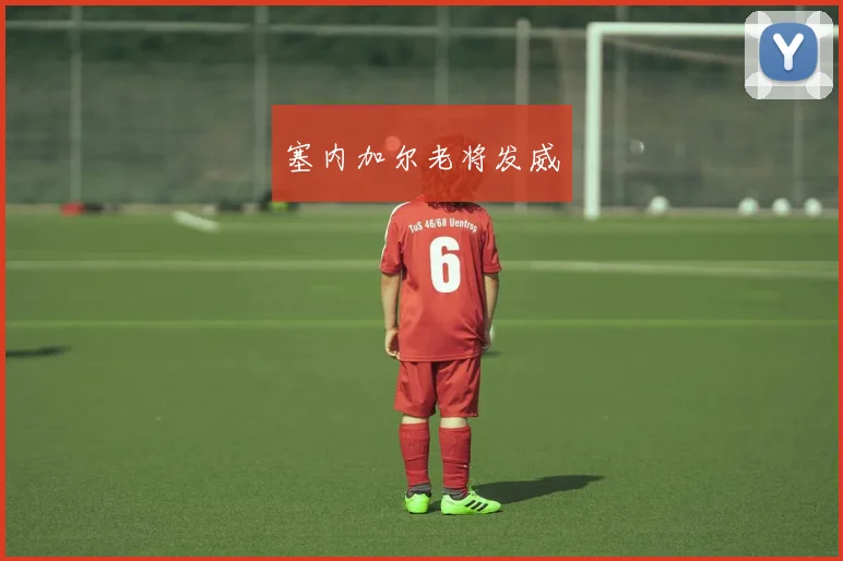 塞内加尔老将发威