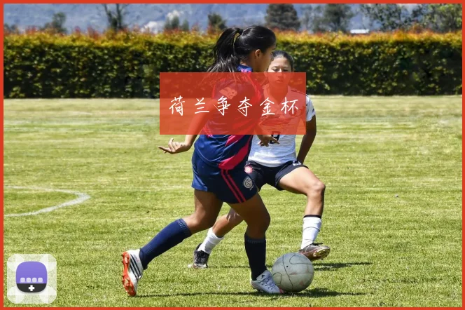 荷兰争夺金杯