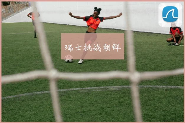 瑞士挑战朝鲜