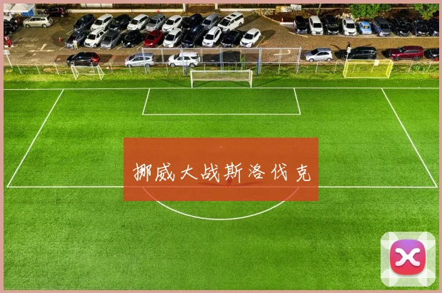 挪威大战斯洛伐克