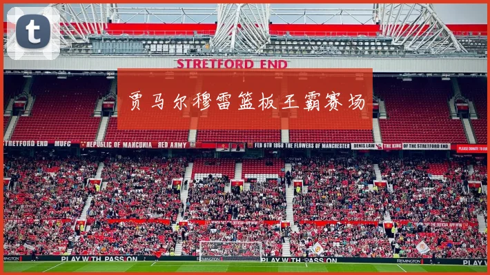贾马尔穆雷篮板王霸赛场