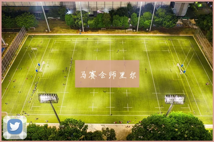 马赛会师里尔