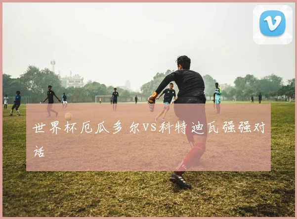 世界杯厄瓜多尔vs科特迪瓦强强对话