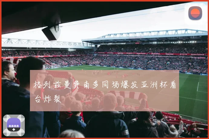 格列兹曼费南多同场爆发亚洲杯看台炸裂