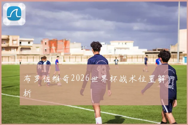 布罗佐维奇2026世界杯战术位置解析