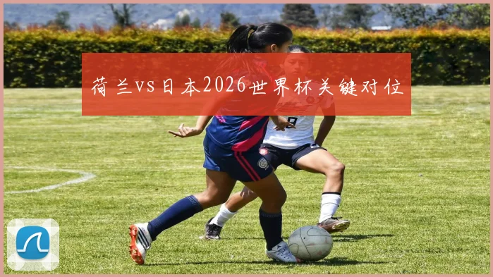 荷兰vs日本2026世界杯关键对位